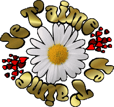 Messages French Je T'aime 05 