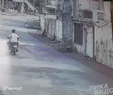 Umorismo -  Fun Animali Scimmie 01 