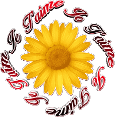 Messages Français Je T'aime 03 