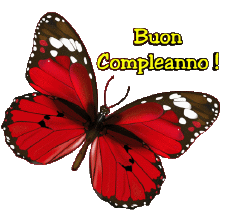 Messages Italien Buon Compleanno Farfalle 004 