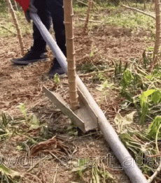 Humour - Fun PERSONNAGES Au Travail Fun - Win 