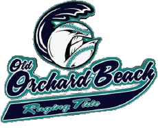 Deportes Béisbol U.S.A - FCBL (Futures Collegiate Baseball League) Old Orchard Beach Raging Tide 