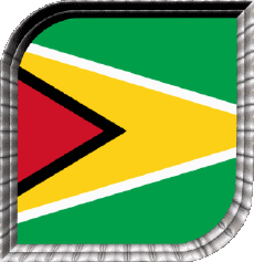 Flags America Guyana Square 