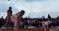 Humour - Fun Sports Sumo Serie 01 