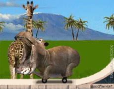 Humor -  Fun Animals Hippopotamus 01 