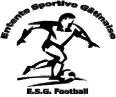 Sportivo Calcio  Club Francia Centre-Val de Loire 45 - Loiret E.S.G Entente Sportive Gatinaise 