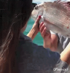 Humor - Fun GENTE Pescadores Fun Fail 