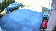 Humor - Fun Animales Ciervo - Cervatillo 01 