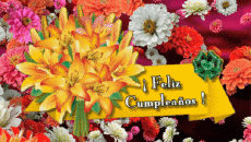 Messagi Spagnolo Feliz Cumpleaños Floral Sfondo animato 003 