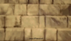 Umorismo -  Fun Animali Cani 01 