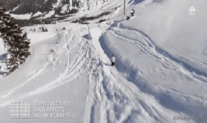Humor -  Fun Sport Ski Free Style Fun Win 