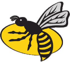 Sports Rugby Club Logo Angleterre London Wasps 