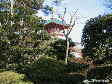 Humour - Fun 3D Effets Stéreoscopique Wiggle 