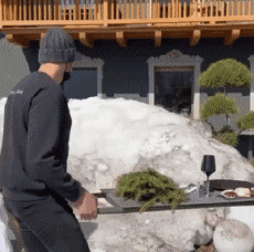 Humor -  Fun PEOPLE Food Serie 01 