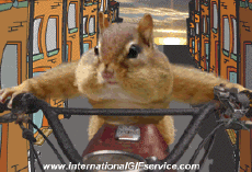 Humor -  Fun Tiere Eichhörnchen 01 