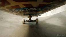 Humor - Fun Deportes Skateboard Free Style Fun - Win 01 