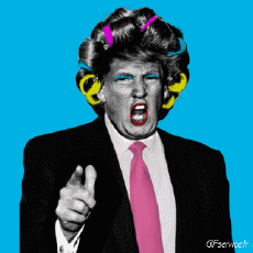 Humor - Fun GENTE Política - Internacional Donald Trump 