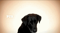 Multimedia Canali - TV Francia Virgin 17 Jingle Pub 