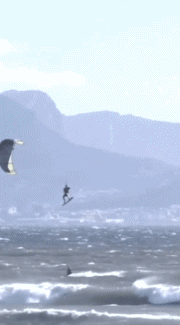 Humour - Fun Sports Kite Surf Gamelle Fail 