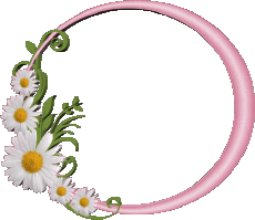 Messages Italian Buon Compleanno Floreale Transparent Background 021 