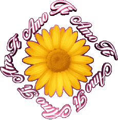 Messages Italien Ti Amo 02 