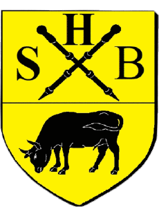 Fahnen Frankreich Abteilungen - Städte 87 SAINT HILAIRE BONNEVAL 