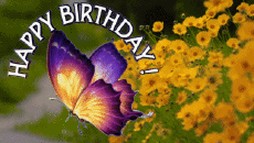 Messagi Inglese Happy Birthday Butterflies Sfondo animato 004 