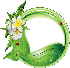 Nachrichten Spanisch Feliz Cumpleaños Floral Transparenter Hintergrund 011 