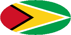 Drapeaux Amériques Guyana Ovale 