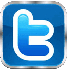 Multi Média Informatique - Internet Twitter 