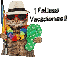 Mensajes Español Felices Vacaciones Fondo transparente 30 