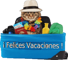 Mensajes Español Felices Vacaciones Fondo transparente 12 