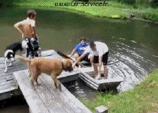 Humor - Fun Transporte Barcos Caídas - Fail 