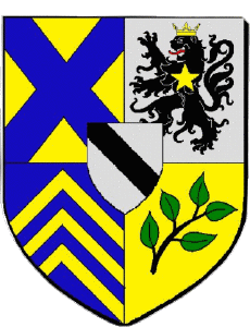 Bandiere Francia Dipartimenti - Città 69 ALBIGNY SUR SAONE 