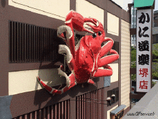 Humour - Fun Animaux Crabes 01 