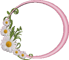 Messages Allemand Alles Gute zum Geburtstag Blumen Fond Transparent 021 