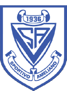 Deportes Fútbol  Clubes America Paraguay Sportivo Ameliano 