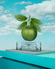 Humor -  Fun GIF Künstler Isabel Chiara 