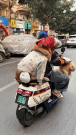 Humor - Fun En la calle Mix 02 