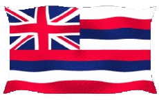 Fahnen Amerika U.S.A - States Hawaii Welligkeit 