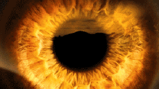 Multimedia Canales - TV Francia Ushuaïa TV Jingle Pub 