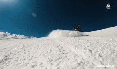 Humour - Fun Sports Ski Free Ride Fun Win 
