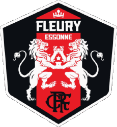 Deportes Fútbol Clubes Francia Ile-de-France 91 - Essonne FC Fleury 91 