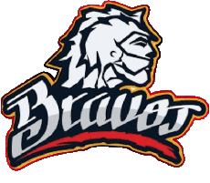 Deportes Béisbol México Bravos de Léon 