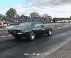 Humor -  Fun Transport Autos Wheeling Car 