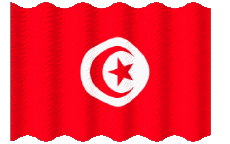Drapeaux Afrique Tunisie Ondulation 