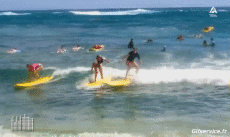 Humour - Fun Sports Surf Gamelle Fail 