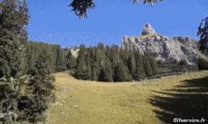 Humor -  Fun Sport Fallschirmspringen Wingsuit Berg 