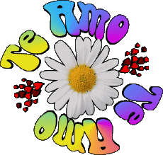 Messages Espagnol Te Amo 04 