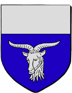 Flags France Departments - Cities 74 MEGEVE 